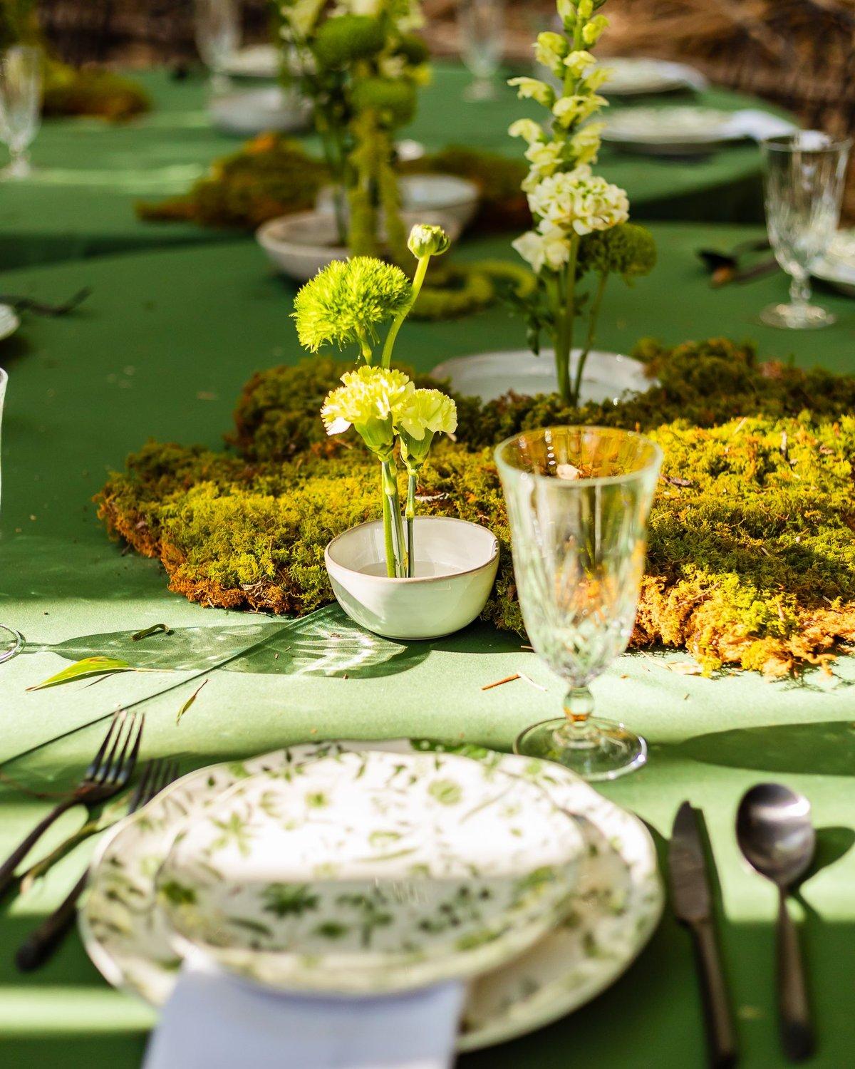 carousel-hero-element image-5