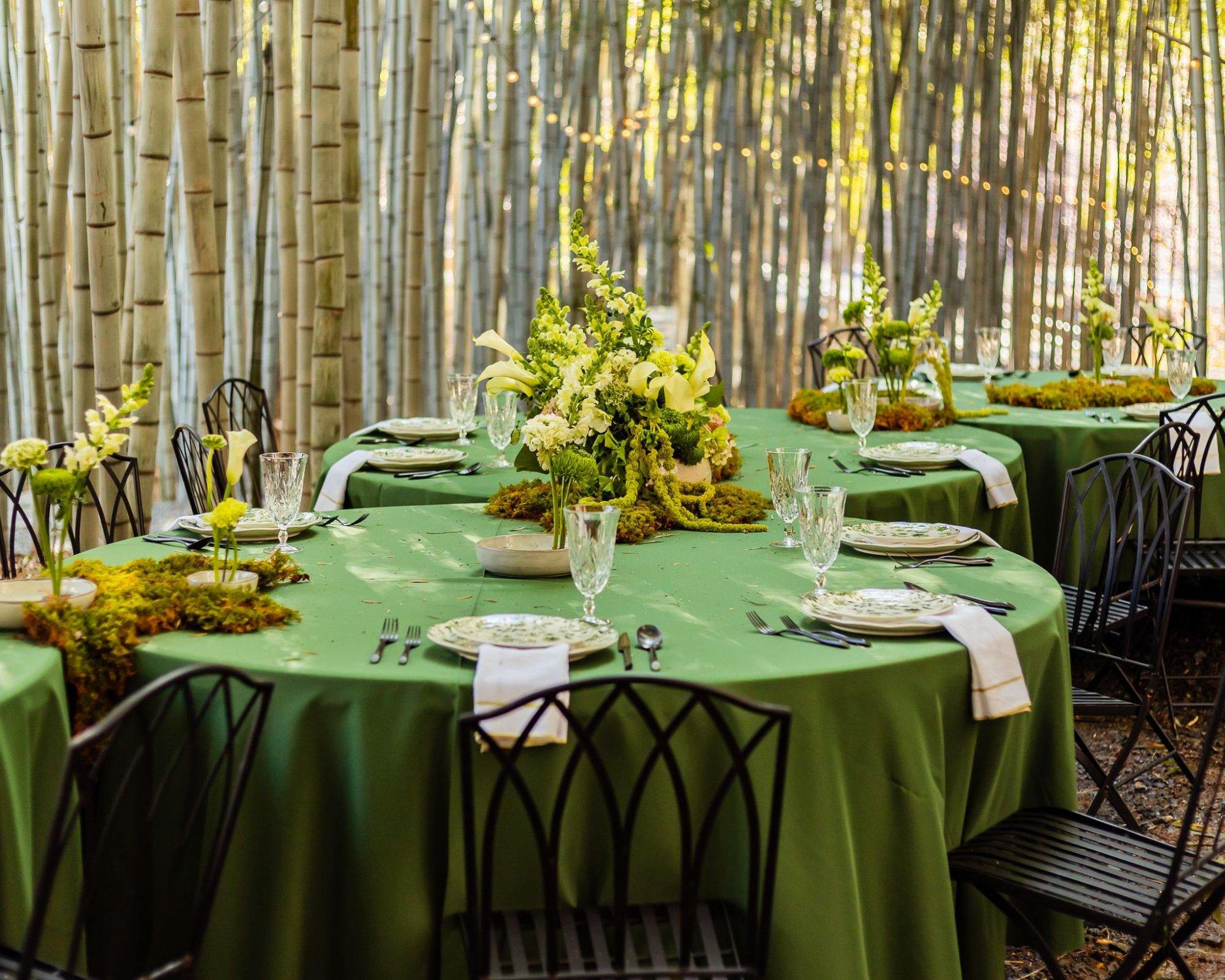 carousel-hero-element image-4